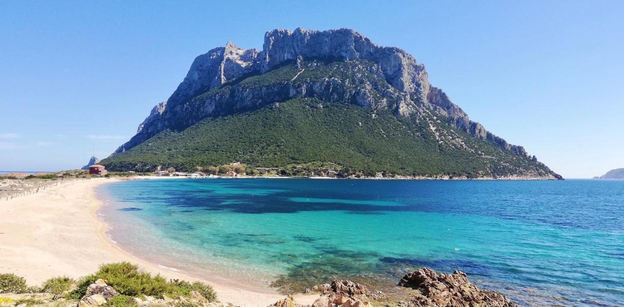 Iss Travel, Le Carrube Two Bedrooms Apartments With Air Conditioning San Teodoro  Εξωτερικό φωτογραφία