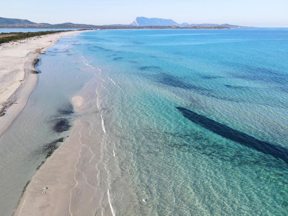 Iss Travel, Le Carrube Two Bedrooms Apartments With Air Conditioning San Teodoro  Εξωτερικό φωτογραφία